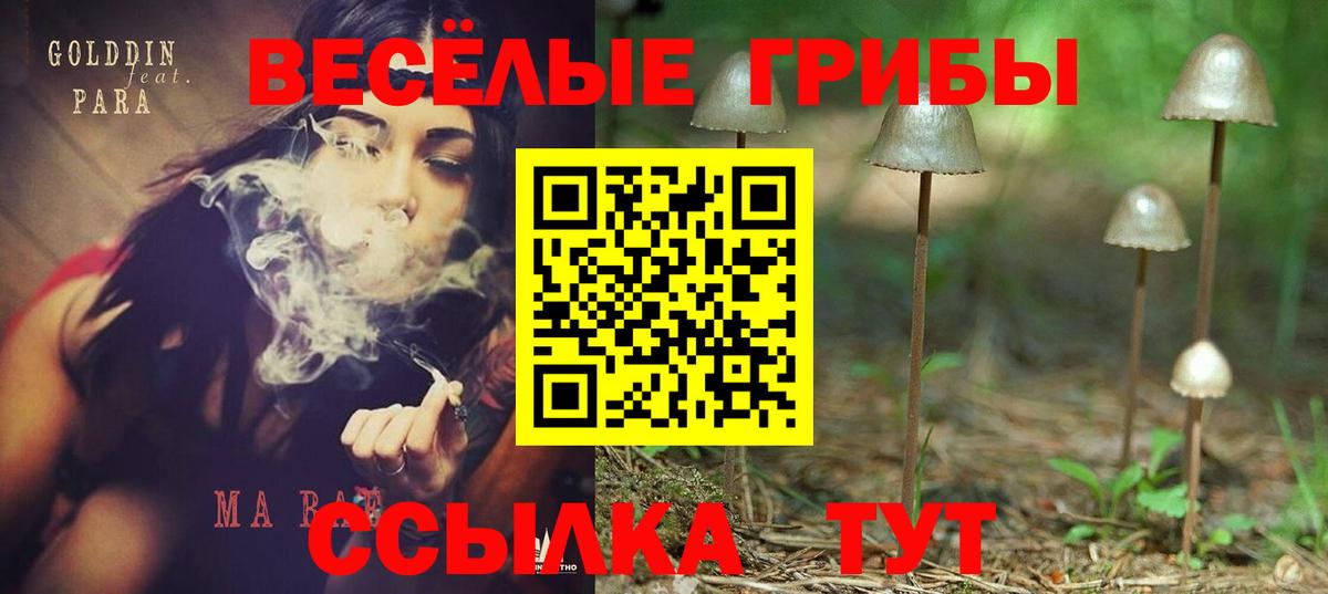 Галлюциногенные грибы Cubensis Моздок